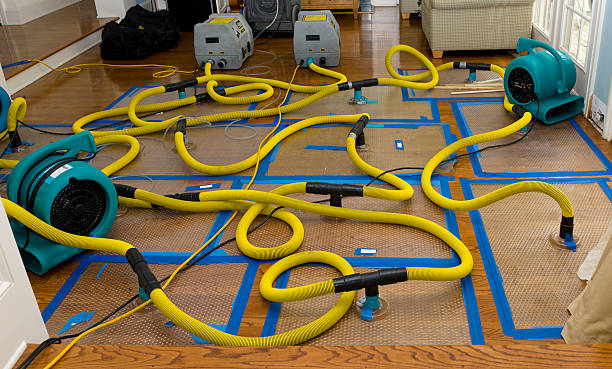 Professional Storm Water Damage Restoration technician working in Cambridge, MA